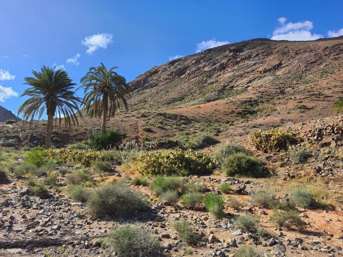 Casa Fico De India Accogliente In Zona Strategica Villa Corralejo Luaran gambar